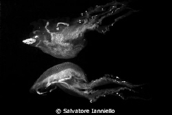riflesso by Salvatore Ianniello 
